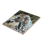 Leopard Appaloosa Ceramic Tile Tegeltje (Zijkant)