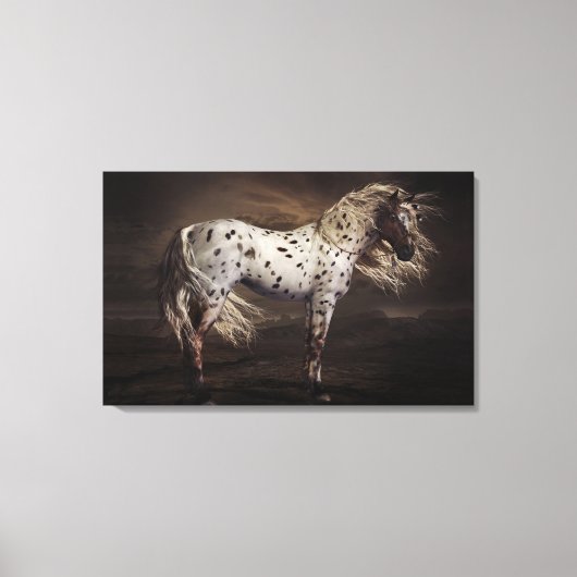 Leopard Appaloosa Stretched Canvas Print (Voorkant)