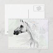 Leopard Appy en White Feathers Briefkaart (Voorkant / Achterkant)