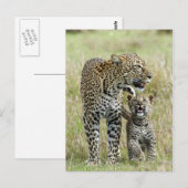 Leopard Baby en Mama Briefkaart (Voorkant / Achterkant)