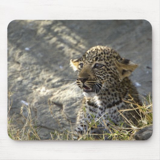 Leopard Baby Muismat (Voorkant)