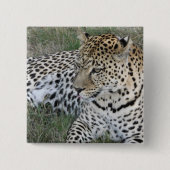 Leopard badge vierkante button 5,1 cm (Voorkant)