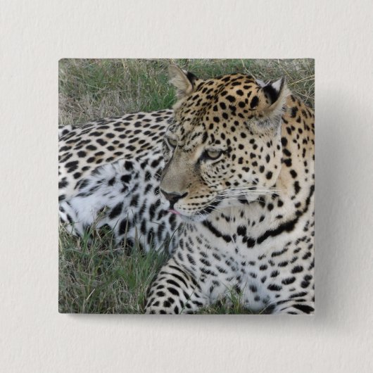 Leopard badge vierkante button 5,1 cm (Voorkant)