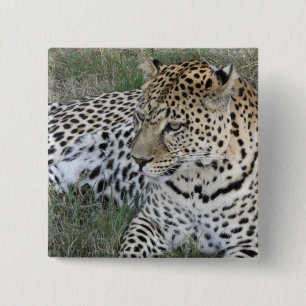 Leopard badge vierkante button 5,1 cm