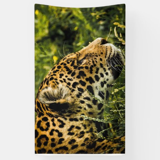 LEOPARD Banner (Verticaal)