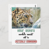 Leopard beschermt het Wildlife-citaat Briefkaart (Voorkant / Achterkant)