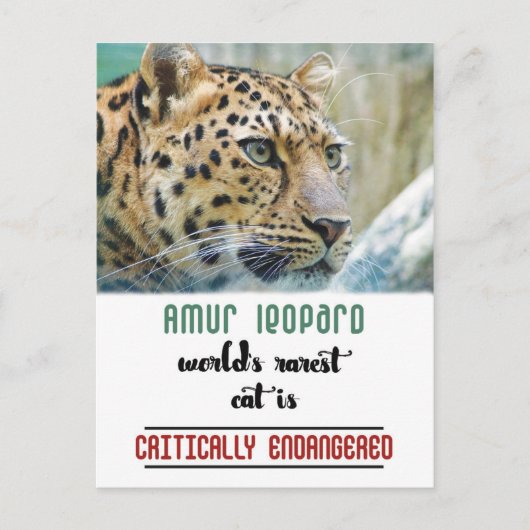 Leopard beschermt het Wildlife-citaat Briefkaart (Voorkant)