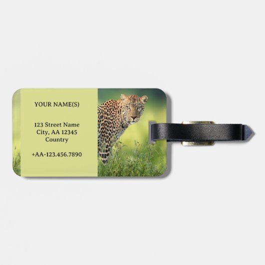 Leopard Big Cat Adventure Bagagelabel (Achterkant horizontaal)