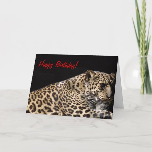 Leopard Birthday Kaart (Voorkant)
