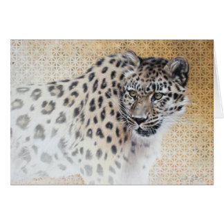 Leopard Blank Card van Andrew Denman
