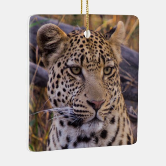 Leopard, Botswana, Afrika Keramisch Ornament (Rechts)