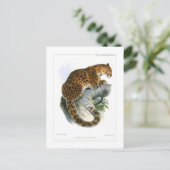 Leopard Briefkaart (Staand voorkant)