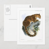 Leopard Briefkaart (Voorkant / Achterkant)