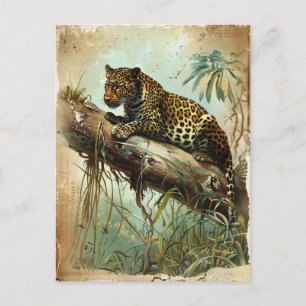Leopard  briefkaart