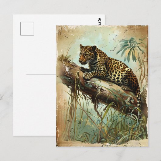 Leopard briefkaart (Voorkant / Achterkant)