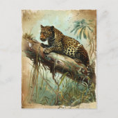 Leopard briefkaart (Voorkant)