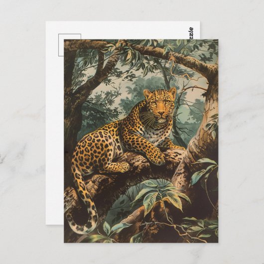 Leopard  briefkaart (Voorkant / Achterkant)