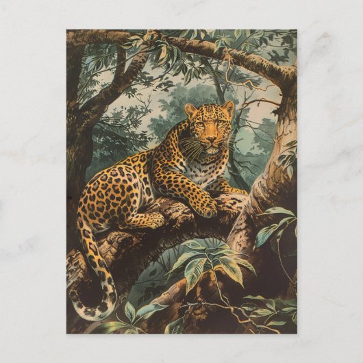 Leopard  briefkaart (Voorkant)