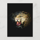 Leopard Briefkaart (Voorkant)