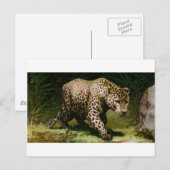 Leopard Briefkaart (Voorkant / Achterkant)