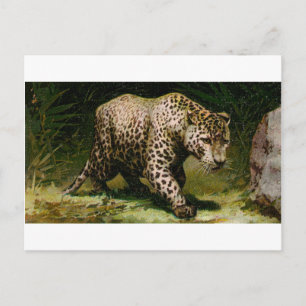 Leopard Briefkaart