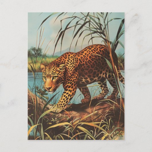 Leopard  briefkaart (Voorkant)