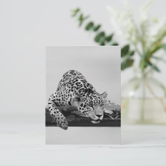 Leopard Briefkaart (Staand voorkant)