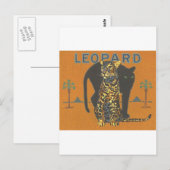 Leopard  briefkaart (Voorkant / Achterkant)