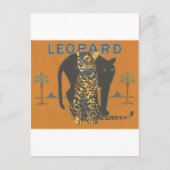 Leopard  briefkaart (Voorkant)