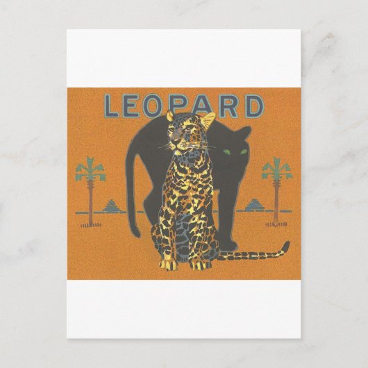 Leopard  briefkaart (Voorkant)
