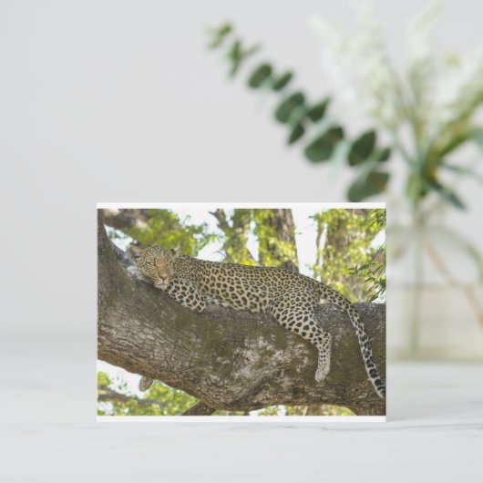 Leopard Briefkaart (Staand voorkant)