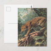 Leopard  briefkaart (Voorkant / Achterkant)