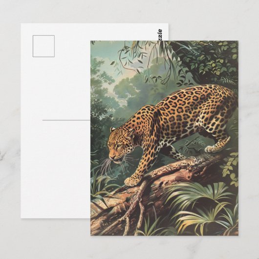 Leopard  briefkaart (Voorkant / Achterkant)