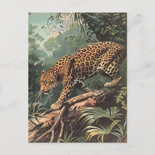 Leopard  briefkaart (Voorkant)