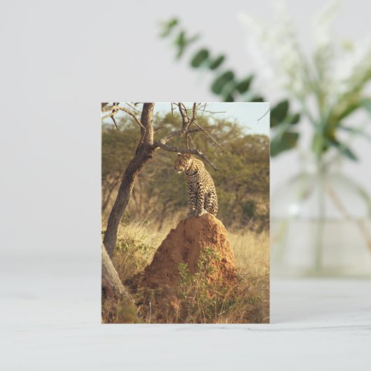 Leopard Briefkaart (Staand voorkant)