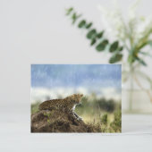 Leopard Briefkaart (Staand voorkant)