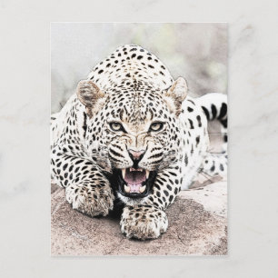 Leopard Briefkaart