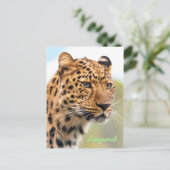 Leopard-Briefkaart Briefkaart (Staand voorkant)