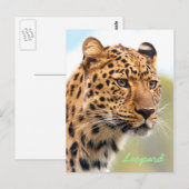 Leopard-Briefkaart Briefkaart (Voorkant / Achterkant)