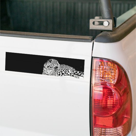 Leopard Bumpersticker (Op Truck)