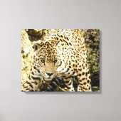 Leopard Canvas Afdruk (Voorkant)