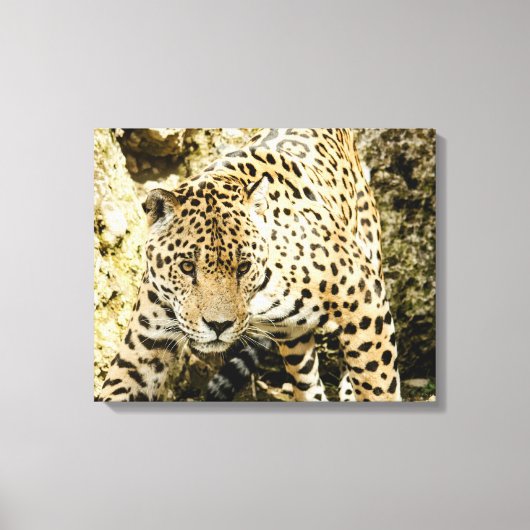 Leopard Canvas Afdruk (Voorkant)