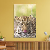 Leopard Canvas Afdruk (Insitu (Woonkamer))