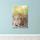 Leopard Canvas Afdruk (Insitu (Houten vloer))