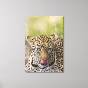 Leopard Canvas Afdruk