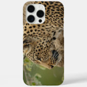 Leopard Case-Mate iPhone case (Achterkant)
