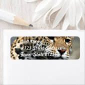 Leopard Cat Mailing Labels (Insitu)