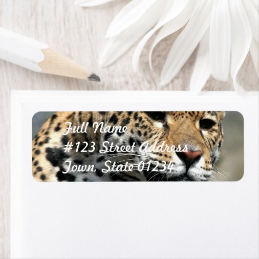 Leopard Cat Mailing Labels (Insitu)