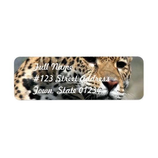 Leopard Cat Mailing Labels (Voorkant)
