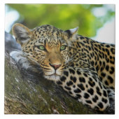 Leopard Ceramic Tile Tegeltje (Voorkant)